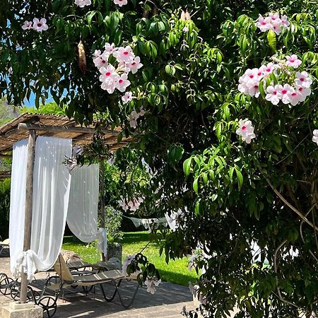 Masseria Casina Montana Corigliano d'Otranto Bagian luar foto