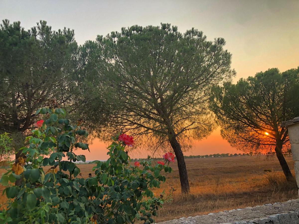 Masseria Casina Montana Corigliano d'Otranto Bagian luar foto