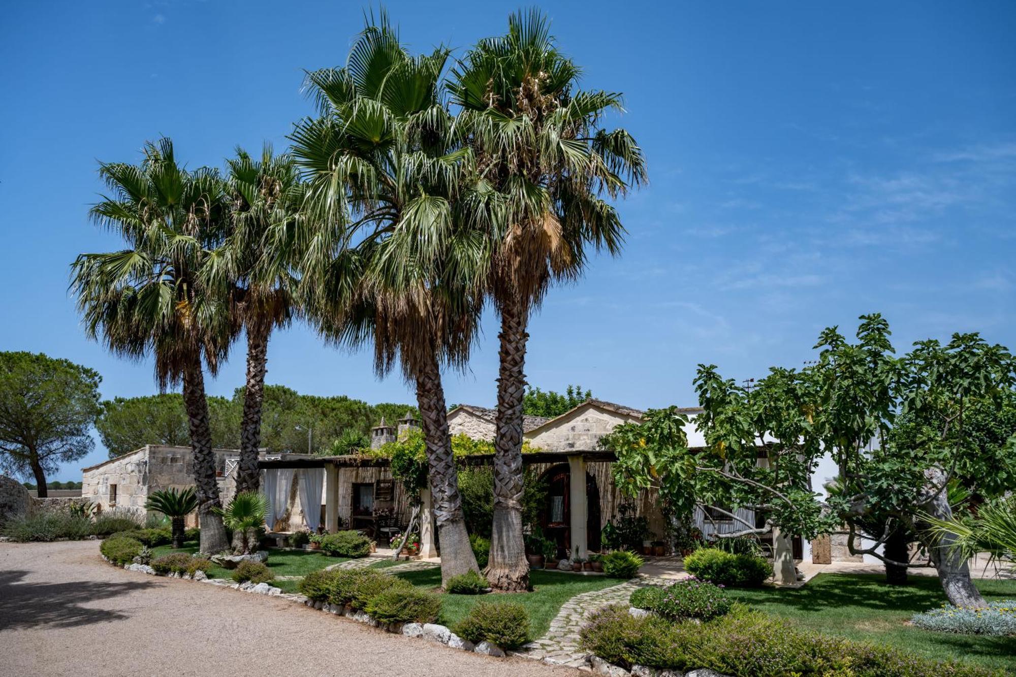 Masseria Casina Montana Corigliano d'Otranto Bagian luar foto