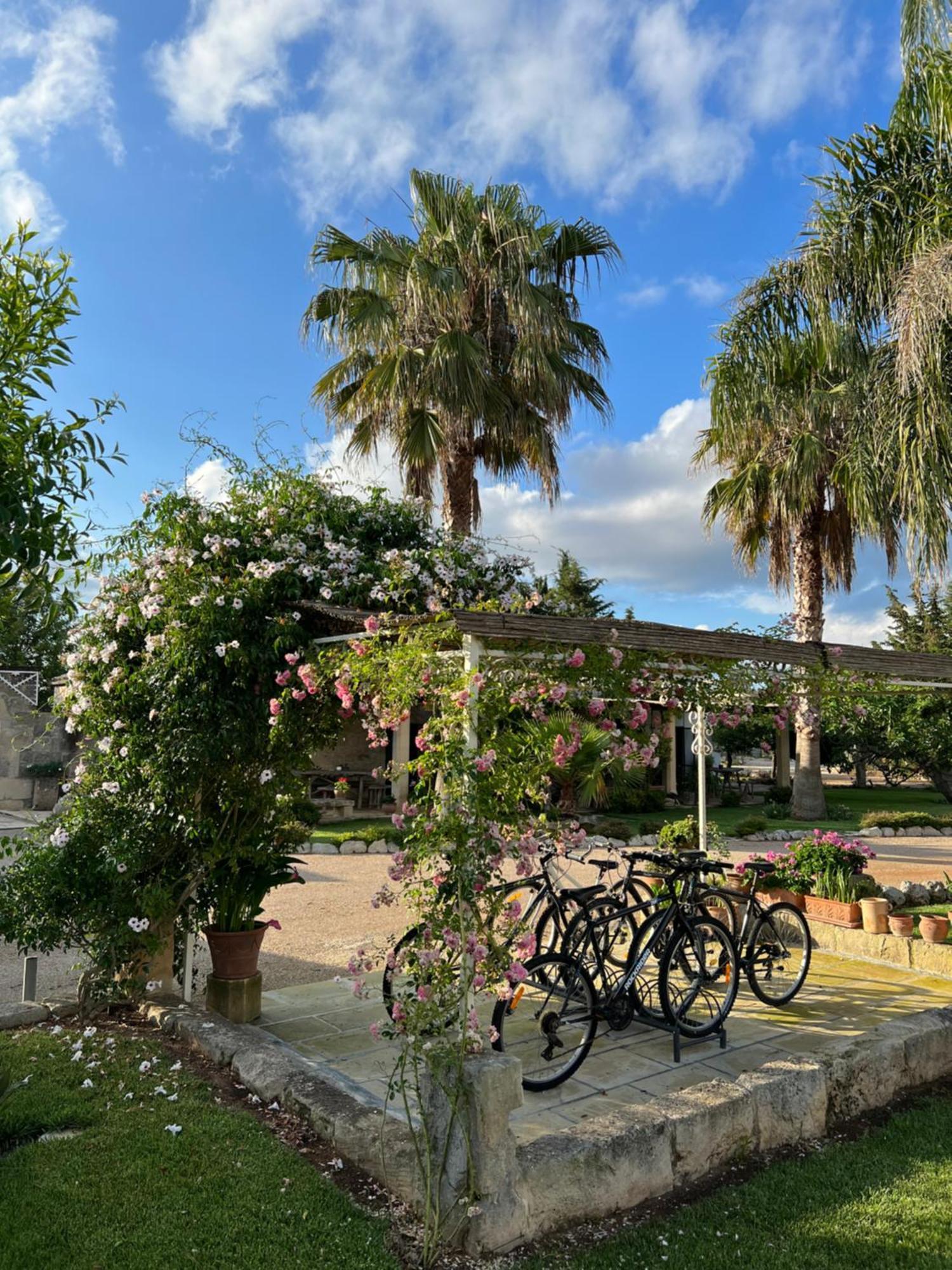 Masseria Casina Montana Corigliano d'Otranto Bagian luar foto