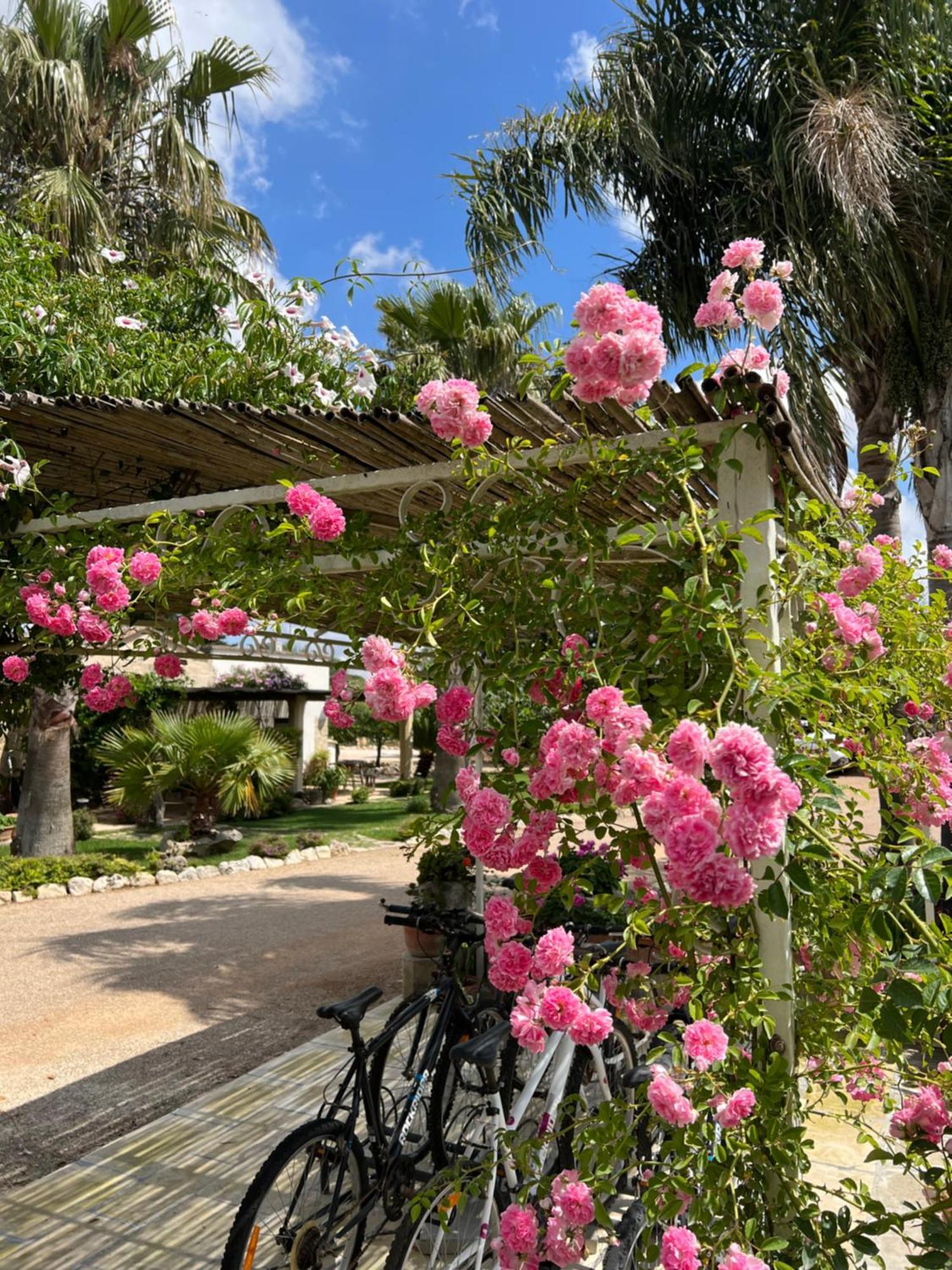 Masseria Casina Montana Corigliano d'Otranto Bagian luar foto