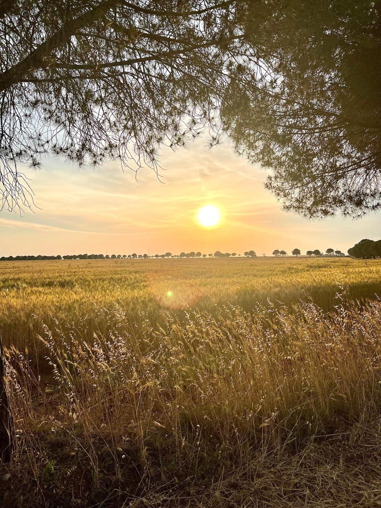 Masseria Casina Montana Corigliano d'Otranto Bagian luar foto