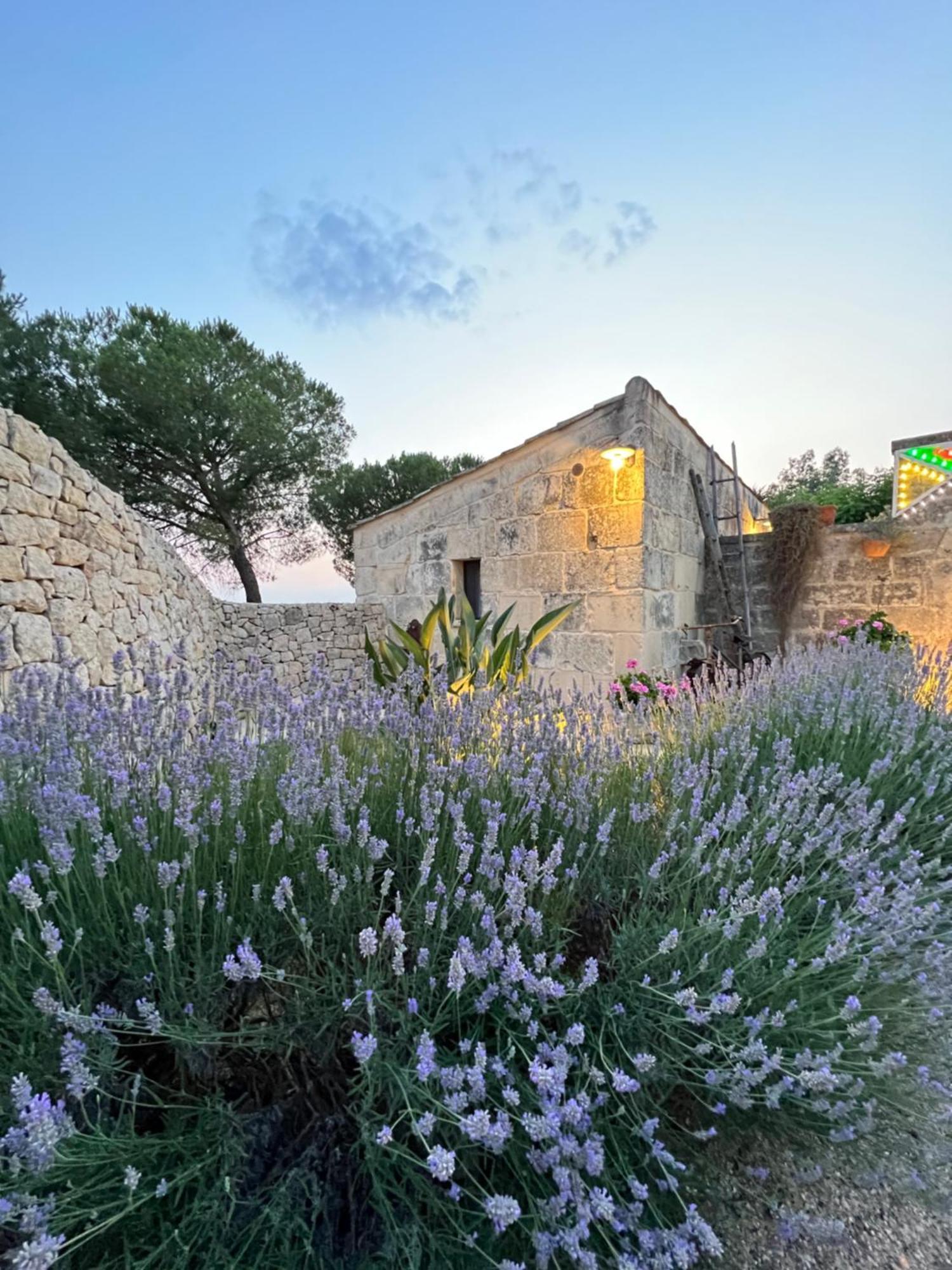 Masseria Casina Montana Corigliano d'Otranto Bagian luar foto