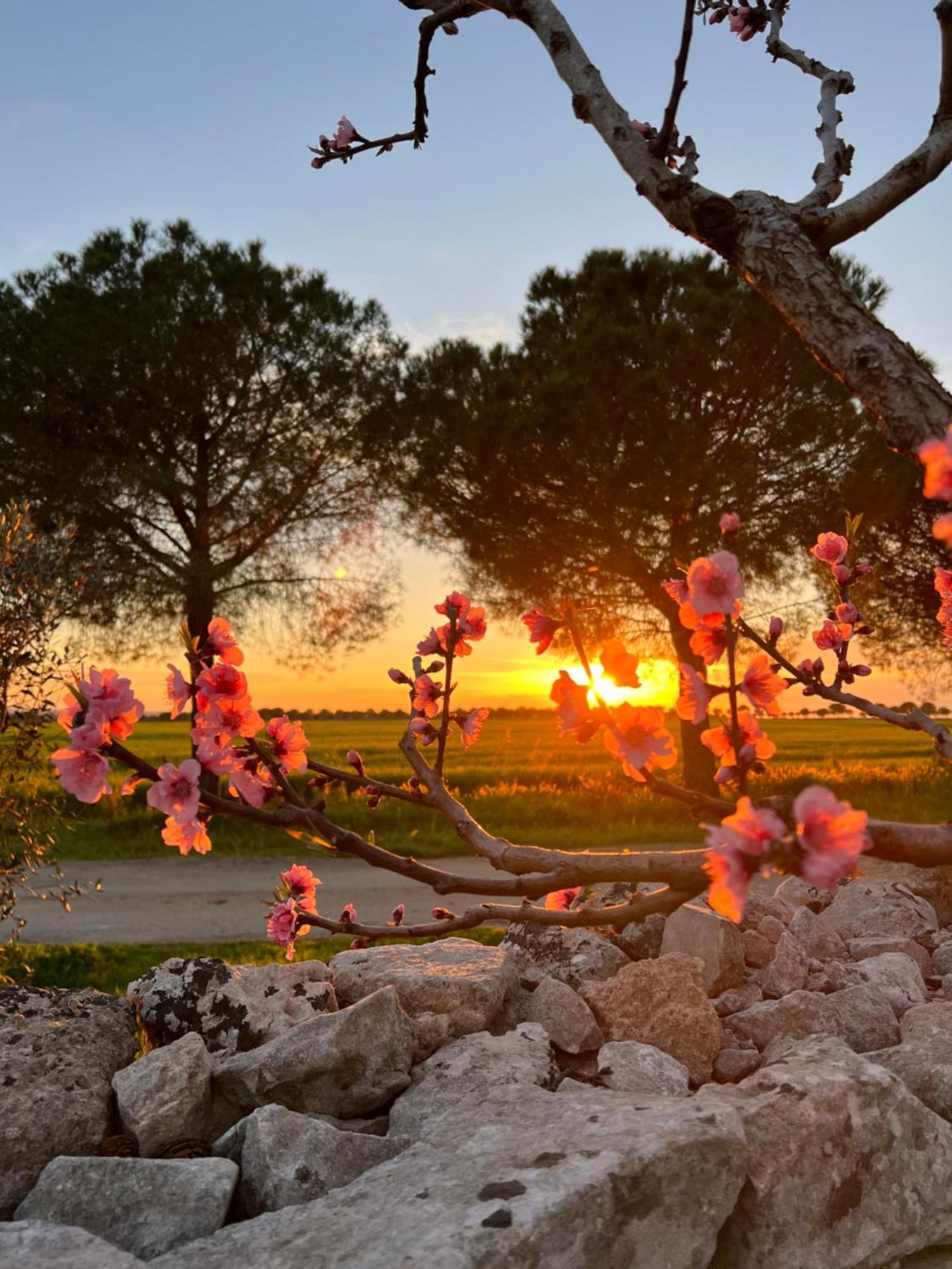 Masseria Casina Montana Corigliano d'Otranto Bagian luar foto