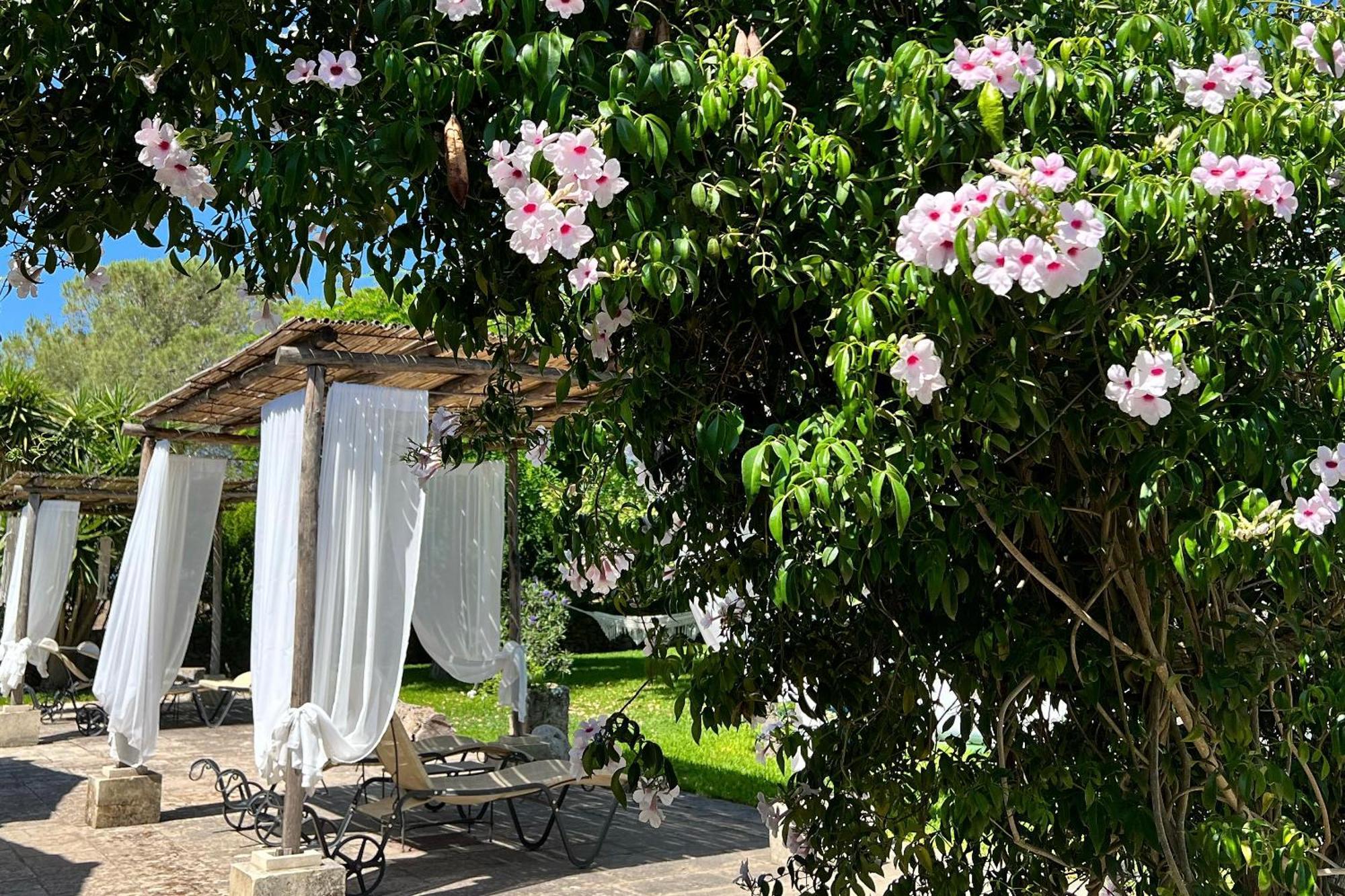 Masseria Casina Montana Corigliano d'Otranto Bagian luar foto